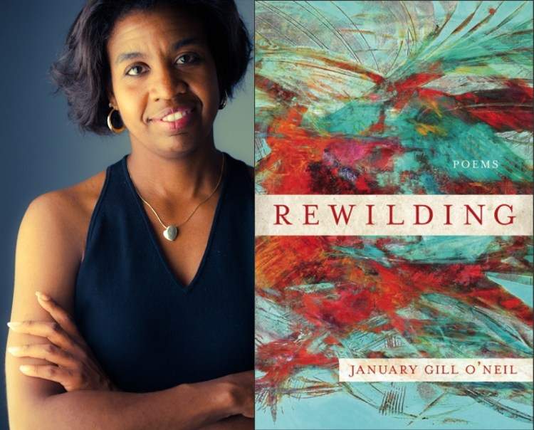 Featured image for ““When We Fly, We Find Our Fire.” – Reading January Gill O’Neil’s Rewilding”