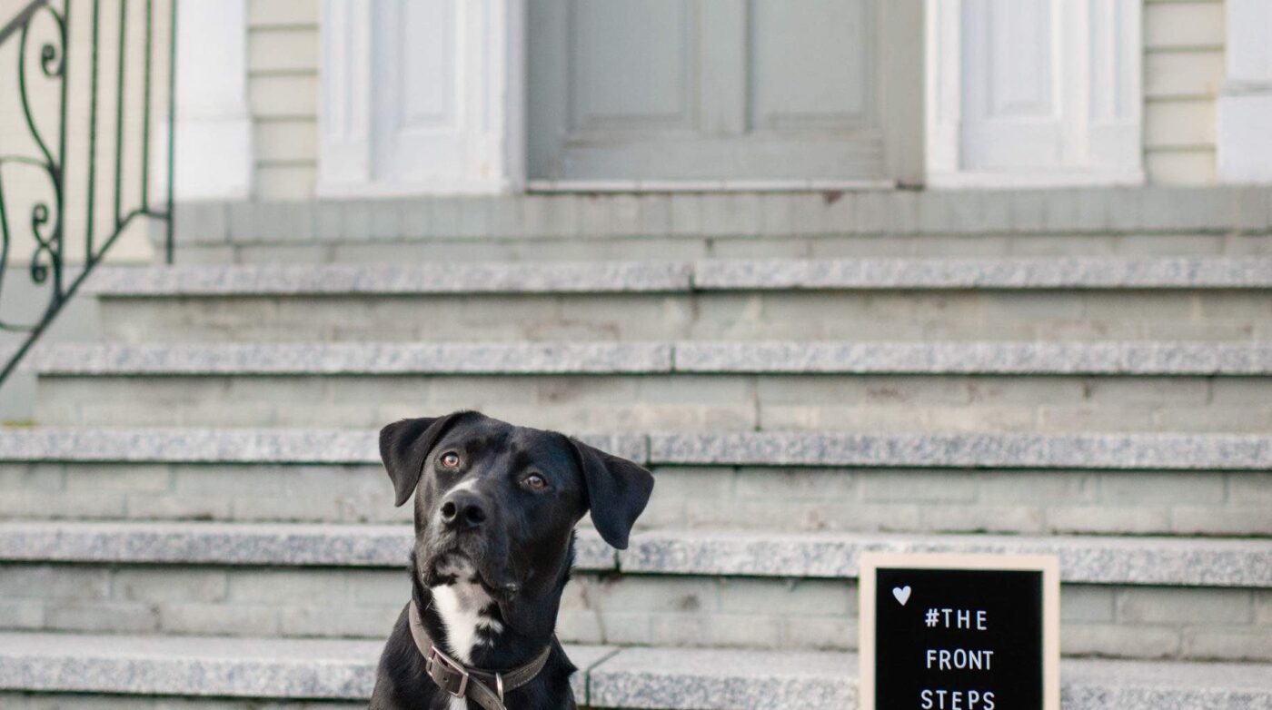Featured image for “Local Photographer’s Front Porch Project Leaves the Light on for Shelter Pets”