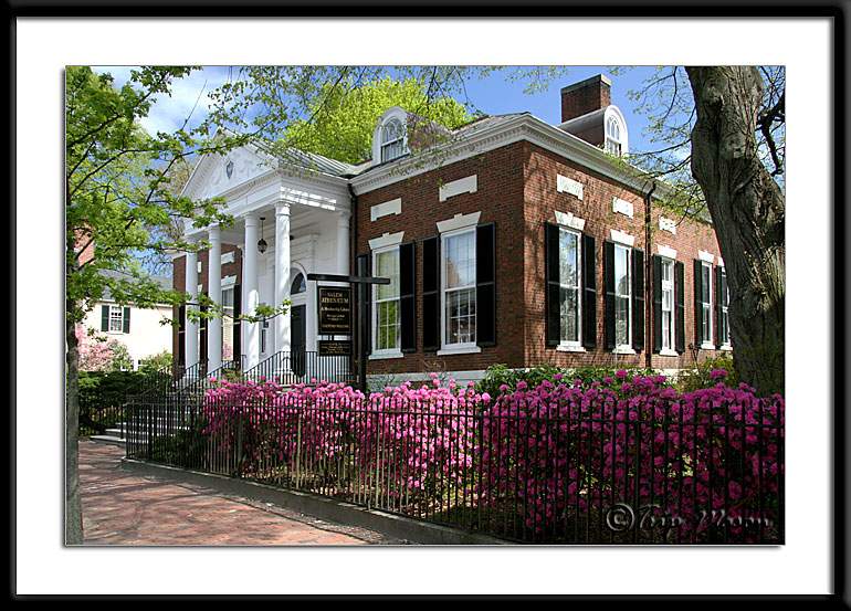 Featured image for “Meet The Member: Salem Athenaeum”