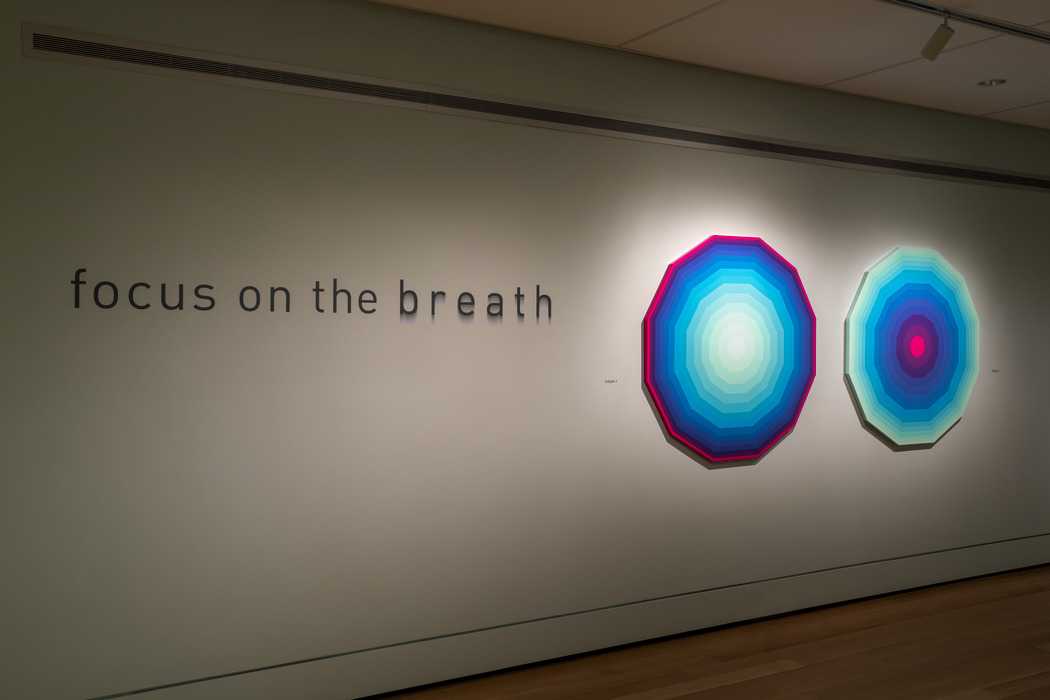 Featured image for “3 Ways the Peabody Essex Museum is Helping the Community Be Well This Season”