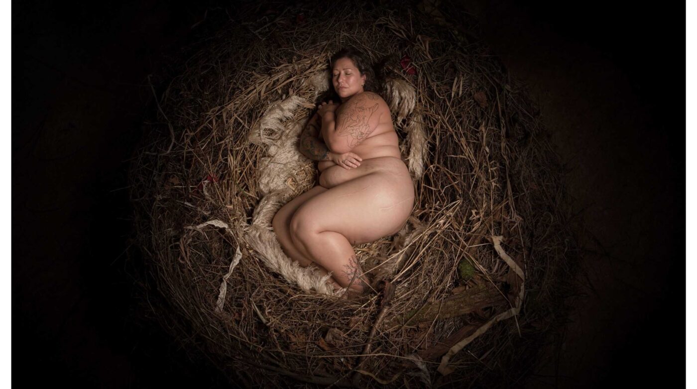 Featured image for “Building Nests for Survivors”