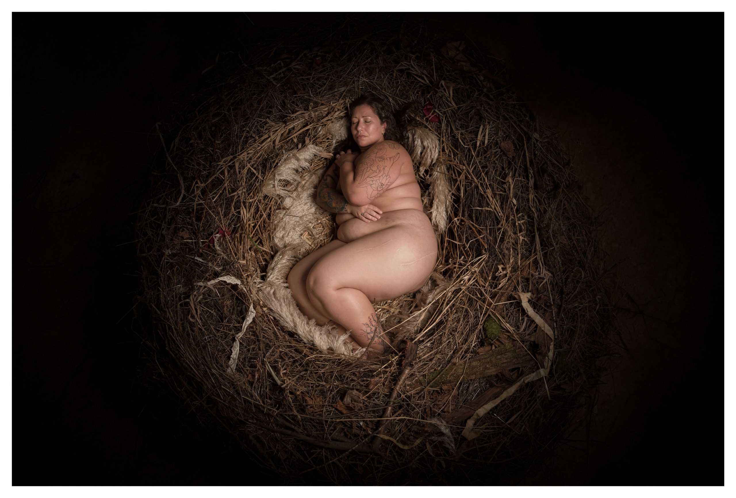 Featured image for “Building Nests for Survivors”