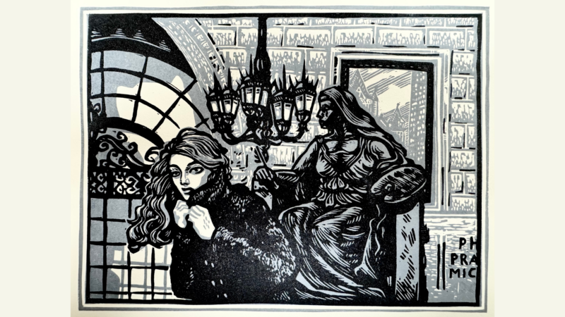 Discover the stunning black and white artwork from MiraMar Print Lab that beautifully captures a woman in a coat standing next to a seated statue. This exquisite piece brings to life an ornate room filled with large windows and a majestic chandelier, offering an elegant touch to any space.