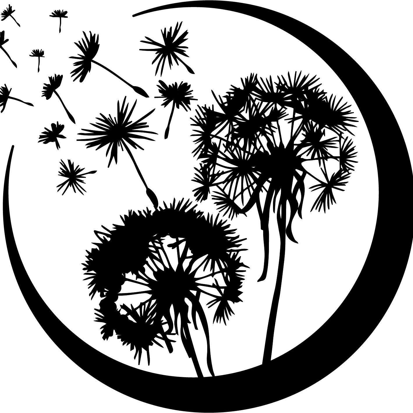 a black and white picture of a dandelion.