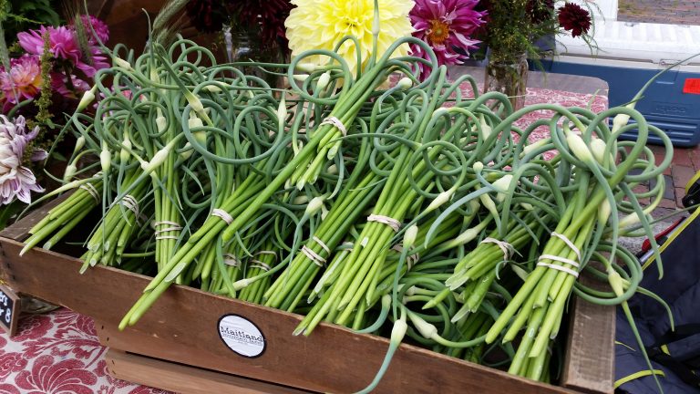 a wooden box filled with lots of garlic flowers.