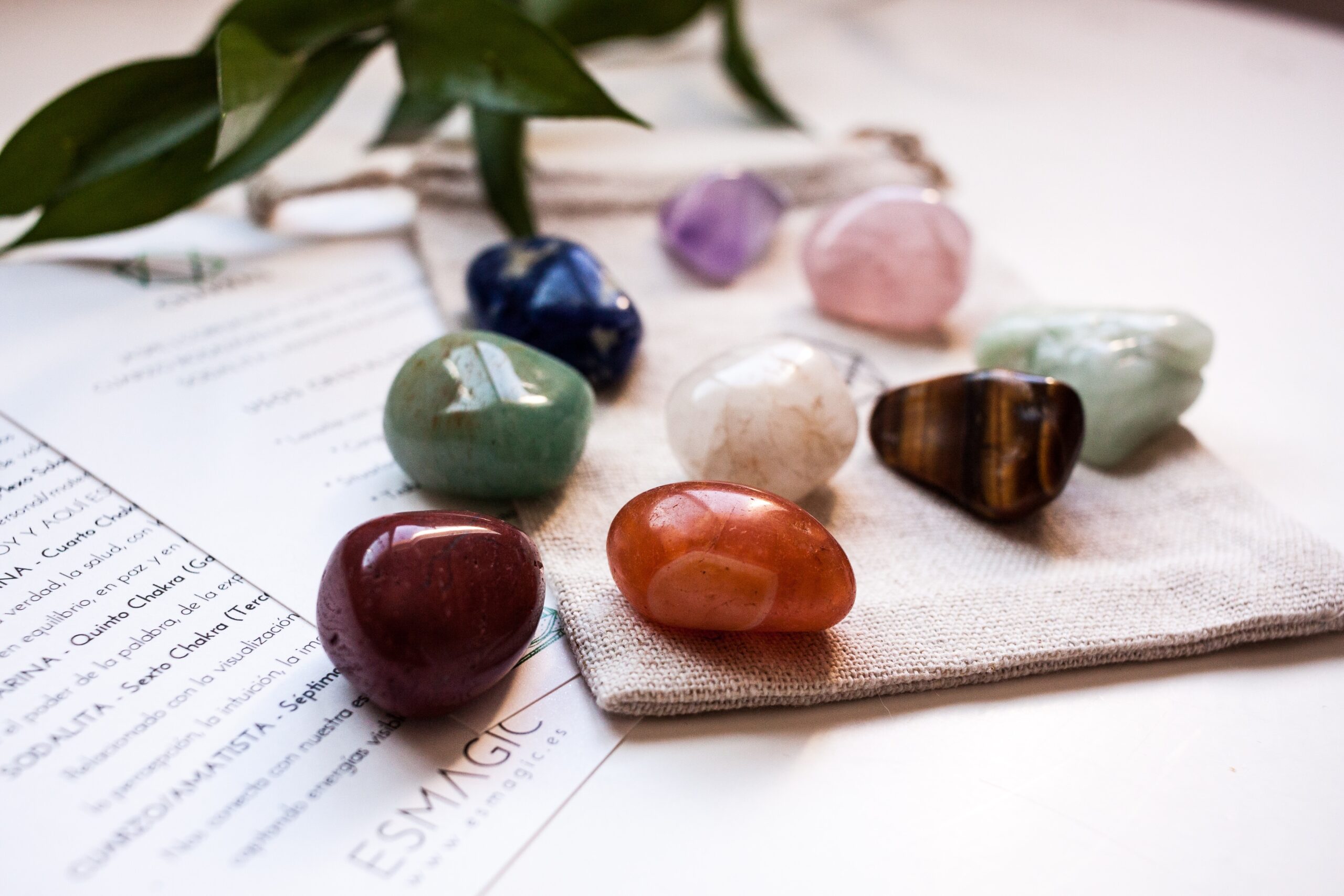 A bag with a variety of stones and a plant on it.
