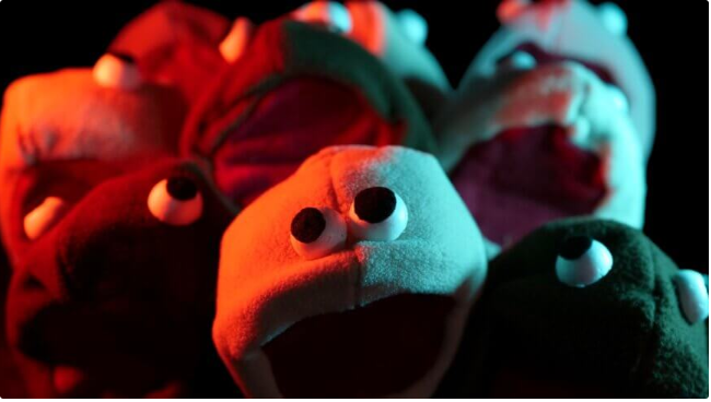 A group of stuffed animals with eyes on them.