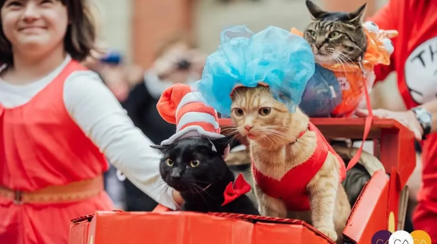 Featured image for “Salem Main Streets Howl-o-ween Pet Parade returns!”