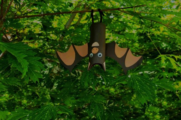 A bat hanging from a tree in the forest.