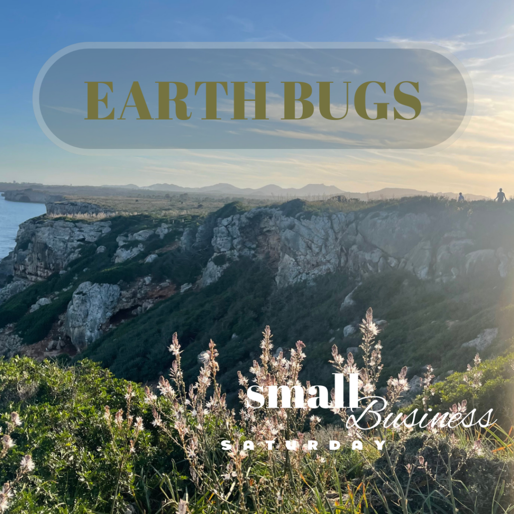 Earth bugs - a guide for small businesses.