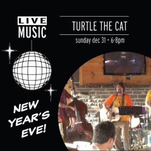 Optimize your New Year's Eve experience with "Live Turtle," the innovative cat product for this festive season.
