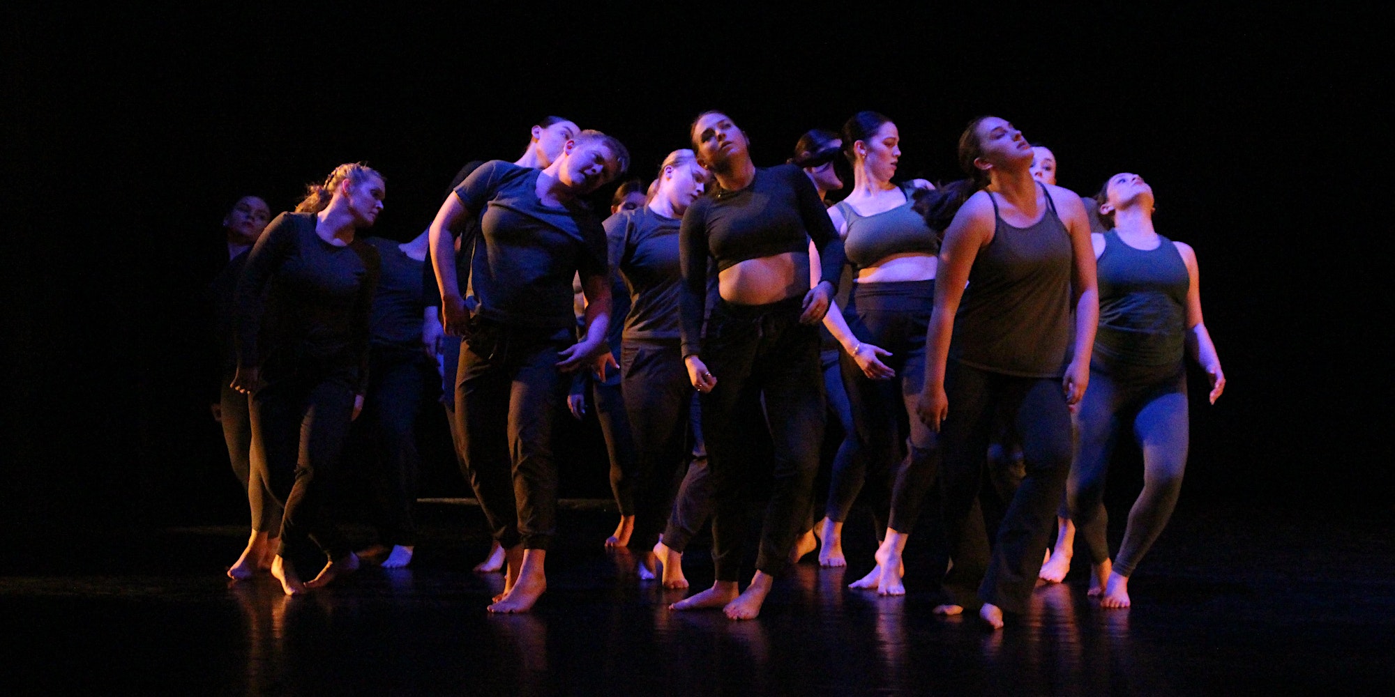 An ensemble of performers gracefully dancing on a live stage.