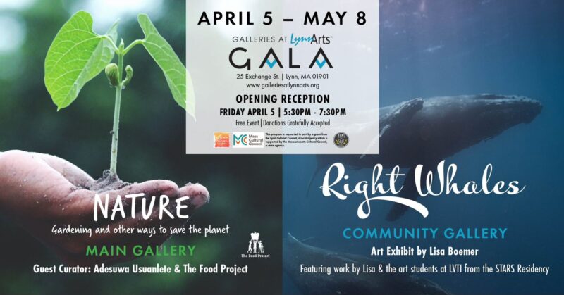 Join us for a special gala event at Lynn Arts on April 5, focused on nature and the magnificent right whales. Explore awe-inspiring art exhibitions housed in our main and community galleries. Don't miss this unique celebration of art and nature!