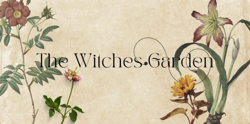 This is an artistically crafted, vintage-style illustration that showcases beautifully drawn plants. The graphics highlight botanical artistry and they are playfully captioned with "the witches garden" written in a sophisticated script font. The whole design is placed on a textured beige background, enhancing its nostalgic appeal.