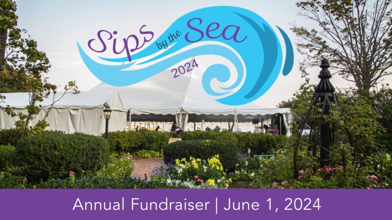 On June 1, 2024, get ready for an exciting outdoor event, 'Sips by the Sea 2024'. This annual fundraiser will happen under a beautifully set marquee next to a garden area after sunset.
