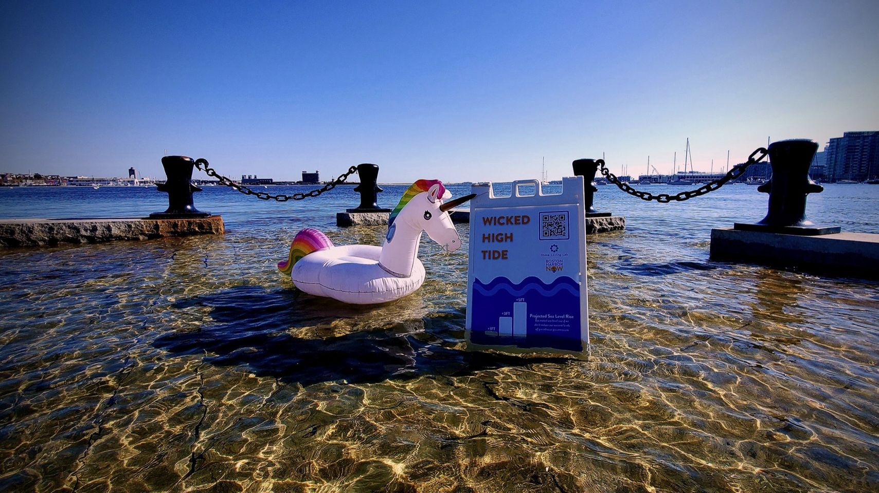 A blow-up unicorn float rests next to a "high tide" sign in sparkling clear, shallow waters. Boats and the city skyline can be seen distinctly in the backdrop.