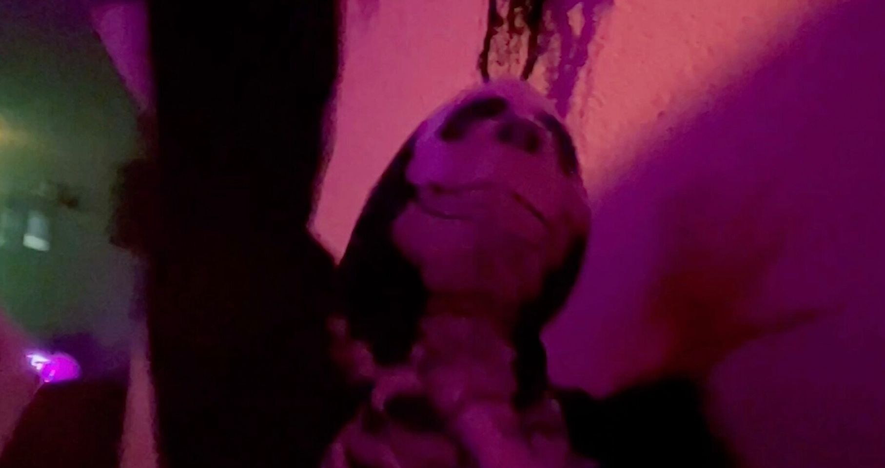 A cartoonish puppet dangles from a string in a subtly lit room, bathed in soft shades of pink and purple.
