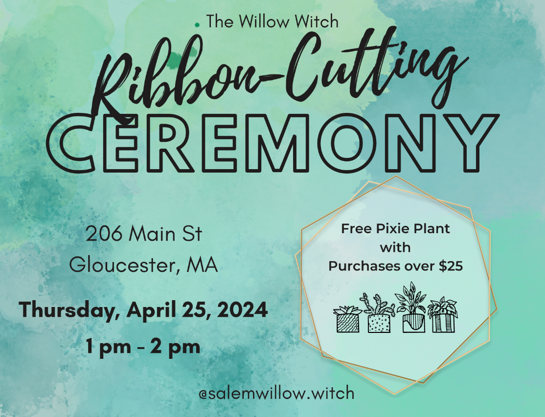 Join us for the 'Willow Witch' Grand Opening in Gloucester, MA, on April 25, 2024! Spend $25 or more and take home a complimentary Pixie Plant.