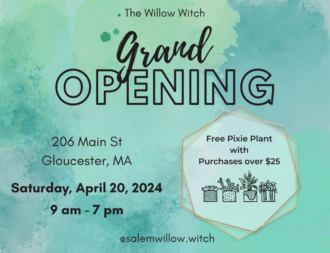 Join us for the grand unveiling of Willow Witch's store on April 20, 2024. Located at 206 Main St, Gloucester, MA, we're excited to welcome you with a special gift - a free pixie plant! Save the date and don't miss the enchanting experience.
