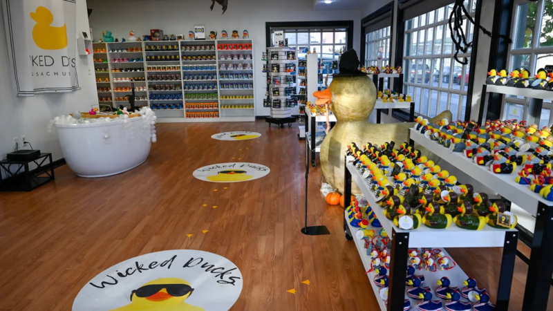 Our store is a duck lover's paradise! Step inside to explore our eye-catching display of Wicked Ducks on the shelves, highlighted by a giant decorative duck. Just around the corner, you'll find a charming bathtub setup, complete with delightful circular mats featuring playful duck illustrations on the floor.