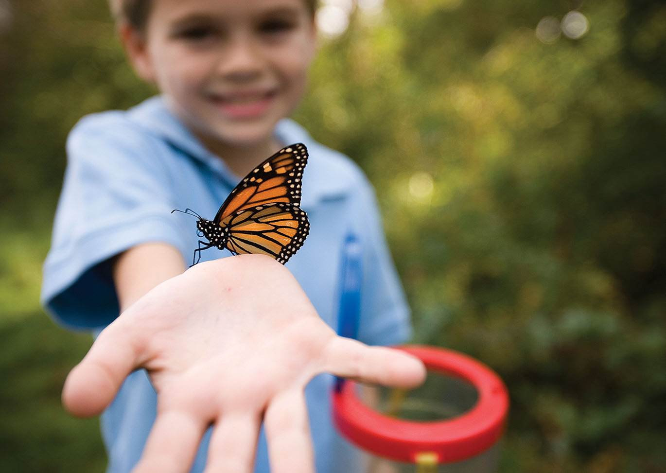 Absolutely! Here’s an engaging, energetic, and accessible alt text for your brand: A beaming child welcomes a vibrant butterfly to their palm, exploring nature with our bright red magnifier against a lush, green backdrop.