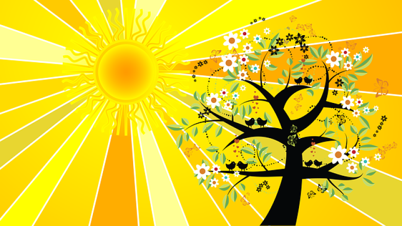 Absolutely! Here’s a revised alt text reflecting a vibrant, community-driven tone and SEO clarity: Our radiant yellow sun beams behind a bold black tree bursting with white blooms, green leaves, and lively birds—celebrating our creative community spirit. If this image features local artists or events, you could include: Sunbeams light up our local artists’ vibrant black tree—alive with white flowers, green leaves & joyful birds—showcasing our united creativity.