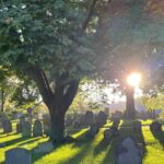 Sunlit gravestones dot green grass as sunlight dances through leafy trees, honoring Essex County’s vibrant community legacy.
