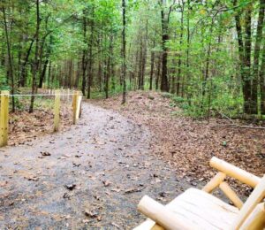 A lively forest trail in Essex County, framed by green trees and wooden posts, invites neighbors to connect amid fall leaves and nature.