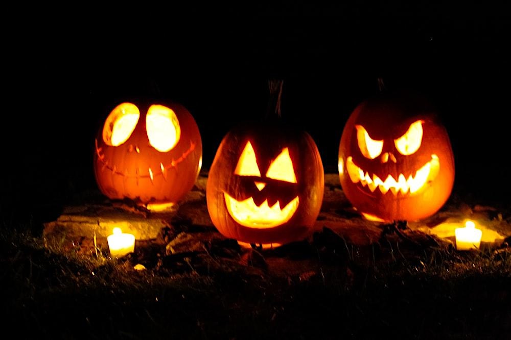 Glowing jack-o’-lanterns, each with unique faces, shine together outdoors at night—celebrating Essex County’s creative spirit.