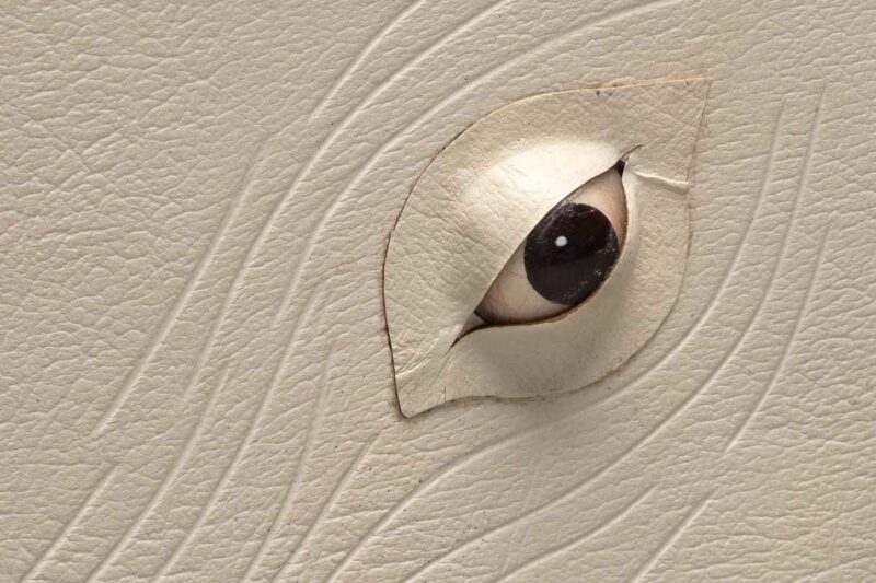 A lively, textured off-white surface displays a sculpted eye—Essex County’s creative spirit coming alive in 3D detail.