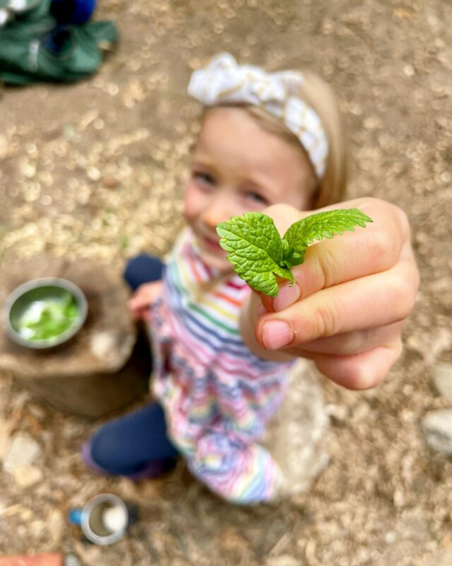 A joyful child in a rainbow-striped shirt proudly shares a leaf, surrounded by playful, creative energy in an Essex County outdoor space.