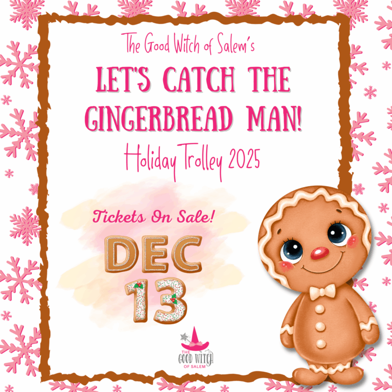 A vibrant flyer with pink snowflakes and a cheerful gingerbread man invites the Essex County community to the creative "Let's Catch the Gingerbread Man! Holiday Trolley 2025," tickets on sale Dec. 13.