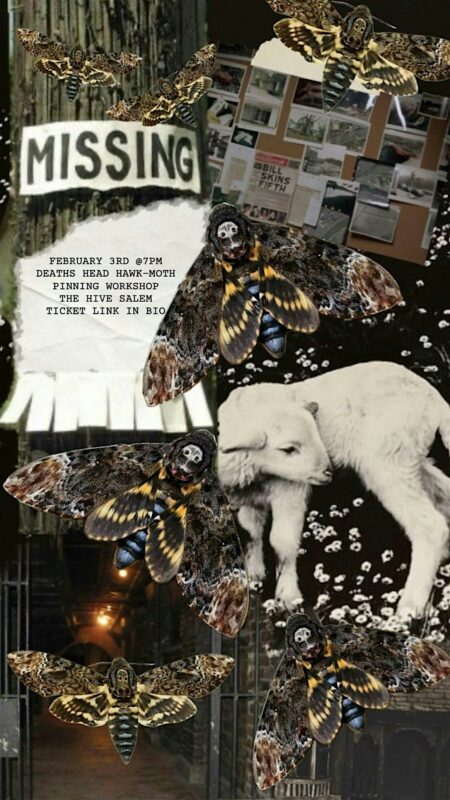 A vibrant collage of death’s-head hawk moths, “MISSING” poster, sheep, flowers, and bulletin board invites Essex County to a lively moth workshop Feb 3 at 7pm—let’s connect and create!.