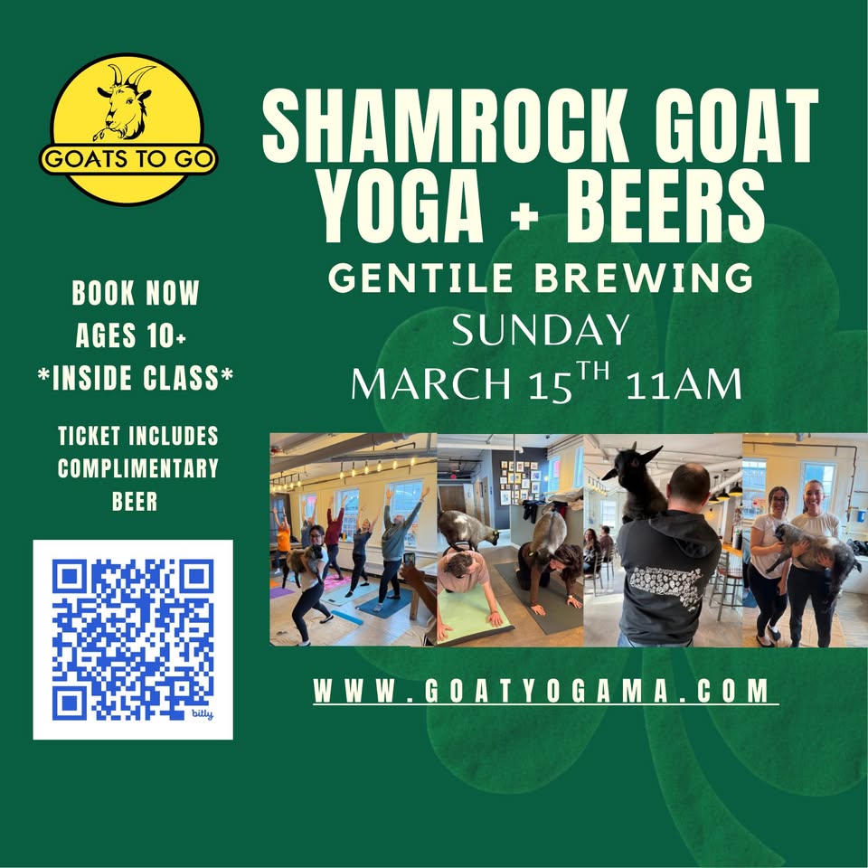 Colorful flyer for Shamrock Goat Yoga + Beers at Gentile Brewing, inviting our Essex County community to connect March 15, 11 AM. Joyful goat yoga pics, QR code, Goats To Go logo, event info, and local website www.goatyogama.com spark excitement and creativity.