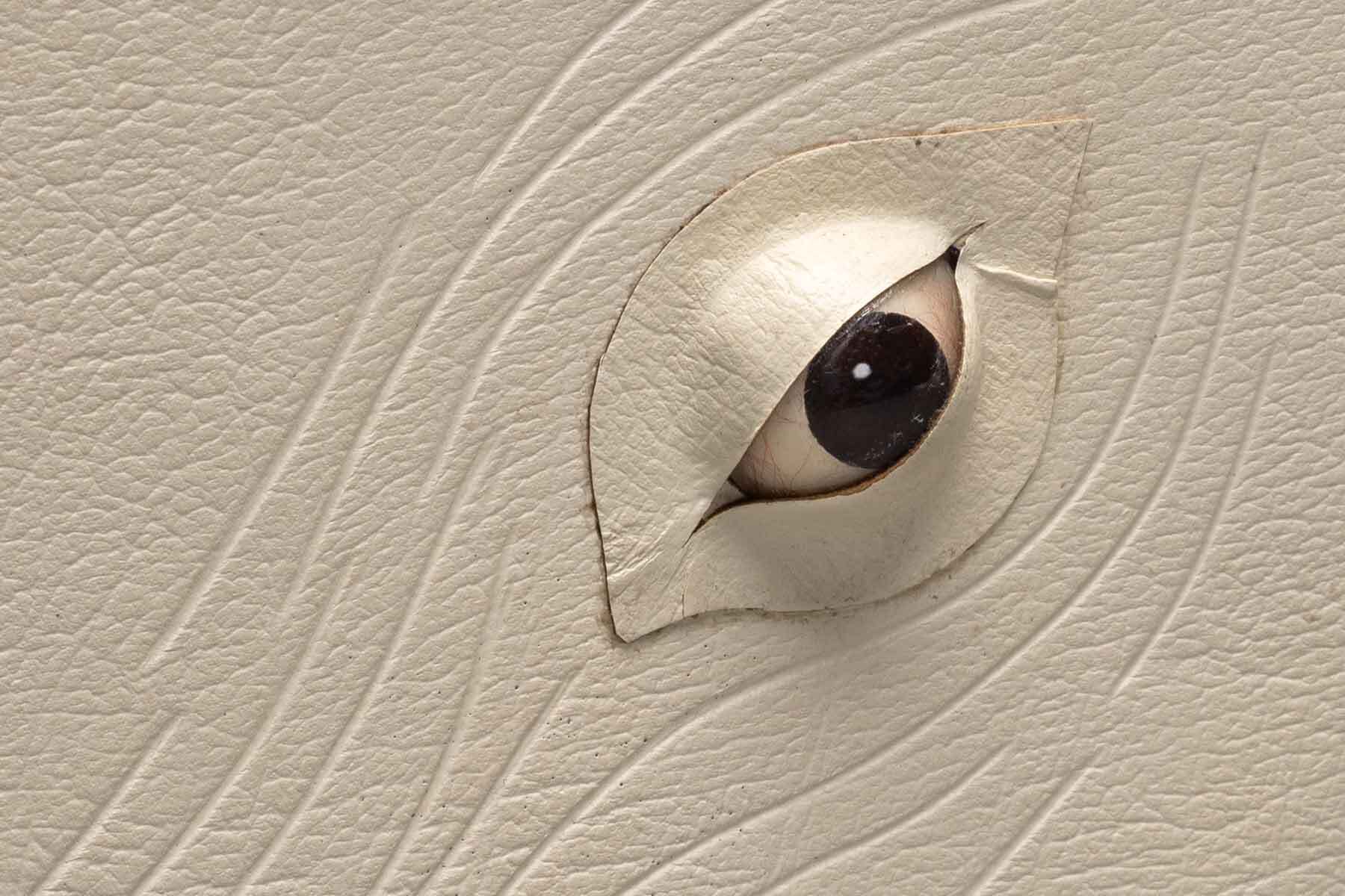 A vibrant, textured surface with an eye-shaped cutout and embossed wrinkle lines sparks creativity—perfect for energizing Salem and Essex County’s imaginative community spirit.