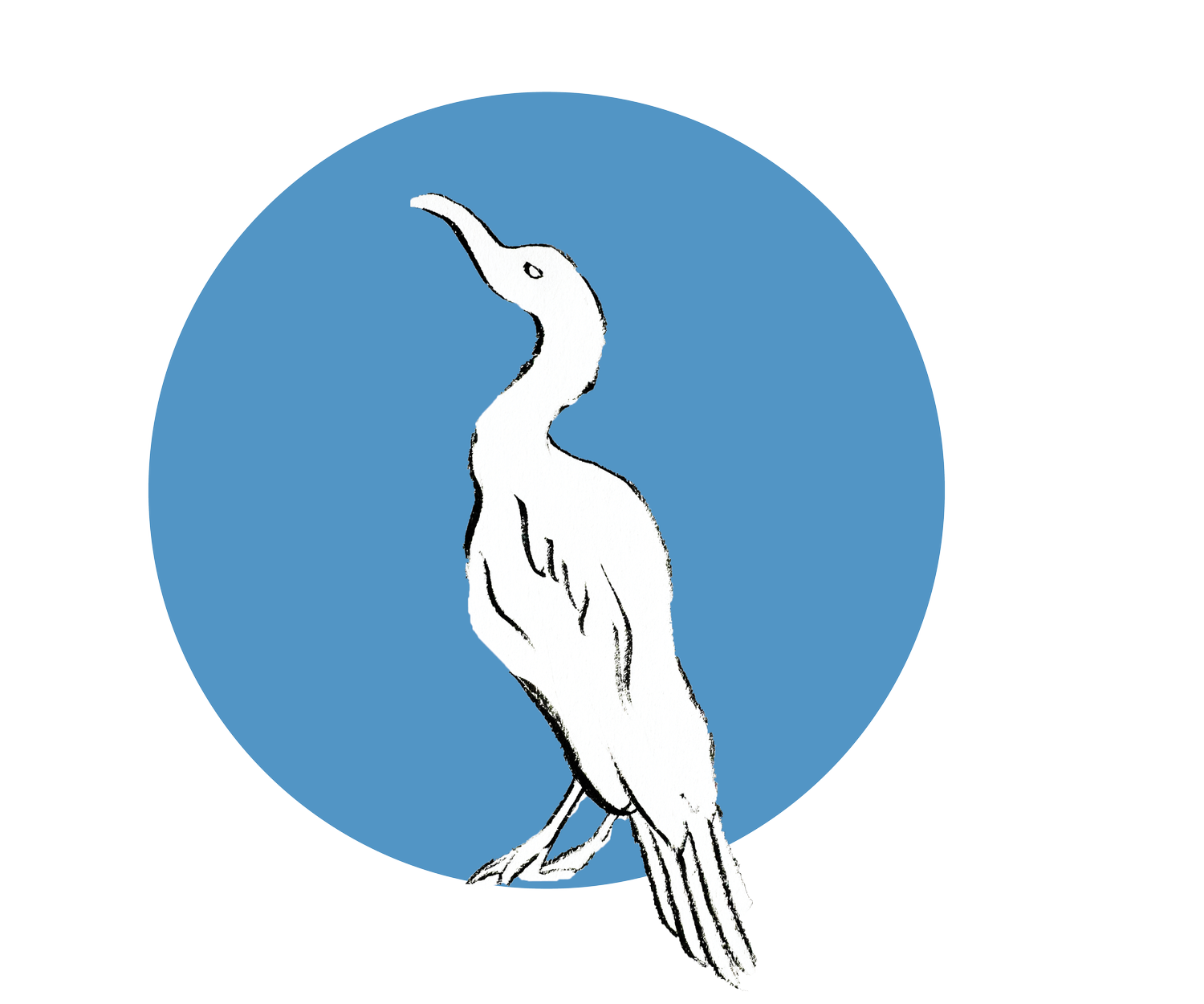 A simple black and white line drawing of a bird standing upright, positioned in front of a solid blue circle on a plain background, representing the North Shore AAPI Coalition.