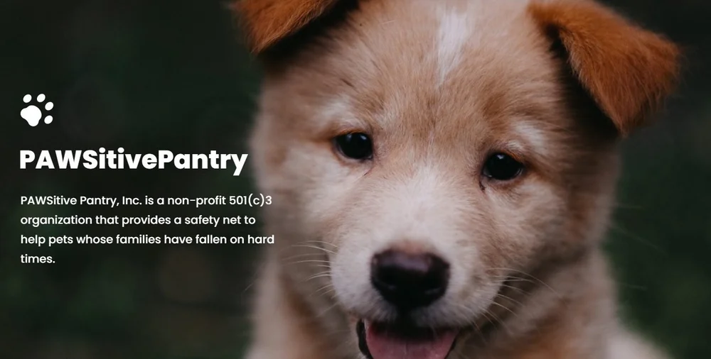 A lively close-up of a light brown and white puppy pops against a blurred dark backdrop, spotlighting PAWSitivePantry’s bold mission and creative Essex County community impact.
