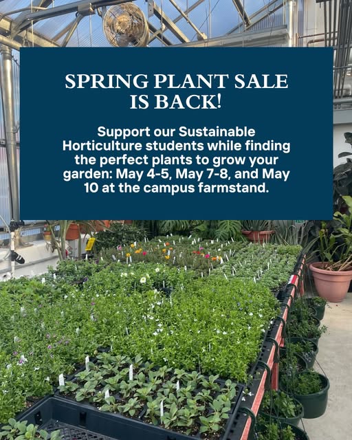 A sign announces the Essex Tech annual plant sale in a greenhouse, with rows of potted plants and flowers on display. Dates listed are May 4-5, May 7-8, and May 10 at the campus farmstand.