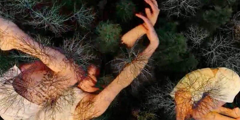 Aerial view of two people in light clothing with tree branch patterns superimposed on their skin, one with raised arms and the other crouching, against a background of dense, leafless trees.