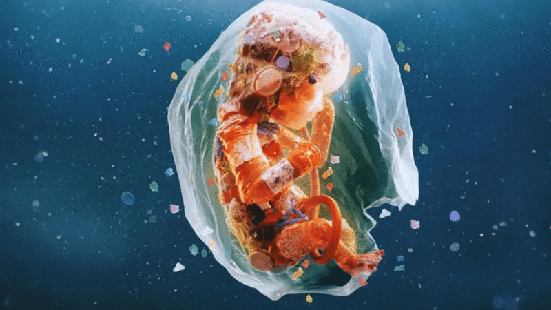 A digitally rendered image of a human fetus surrounded by a transparent sac, floating in a blue background, with colorful microplastic particles scattered around.