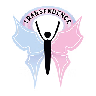 A black silhouette with arms raised stands before butterfly wings—blue left, pink right. The word "TRANSCENDENCE" arches above, symbolizing transformation and transcendence.