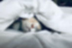 A cat is lying on its back under a white blanket, with its head and front paws visible. The cat appears relaxed and is partially covered by the blanket. The background is out of focus.