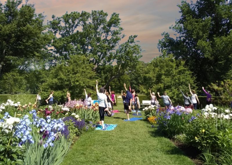 A group of people practice yoga outdoors on mats, surrounded by colorful blooming flowers and green trees under a partly cloudy sky.