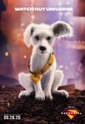 A white dog with gray ears wearing a yellow harness sits on dark ground. The background is blurred with warm lights, and text above the dog reads, "WATCH OUT UNIVERSE." Movie details are at the bottom.
