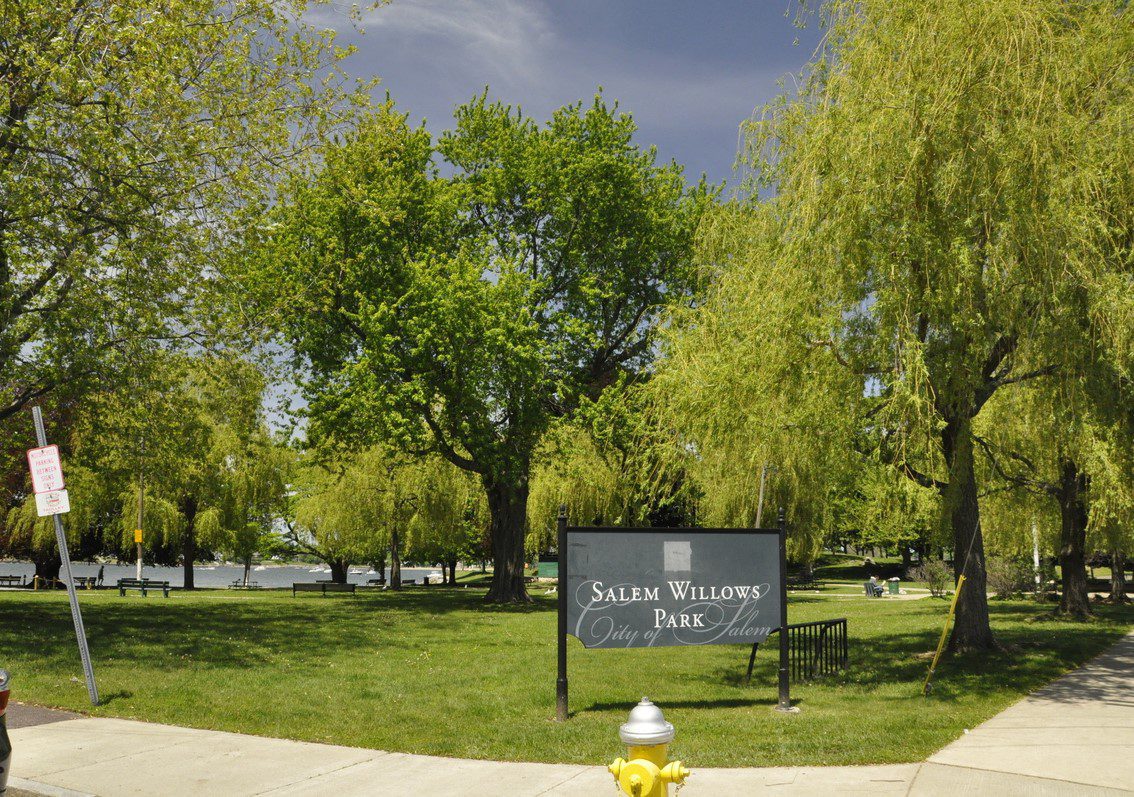 A park with green grass, willow trees, a sidewalk, and a sign reading "Salem Willows Park, City of Salem." A yellow fire hydrant and a parking sign are in the foreground; water is visible in the background.