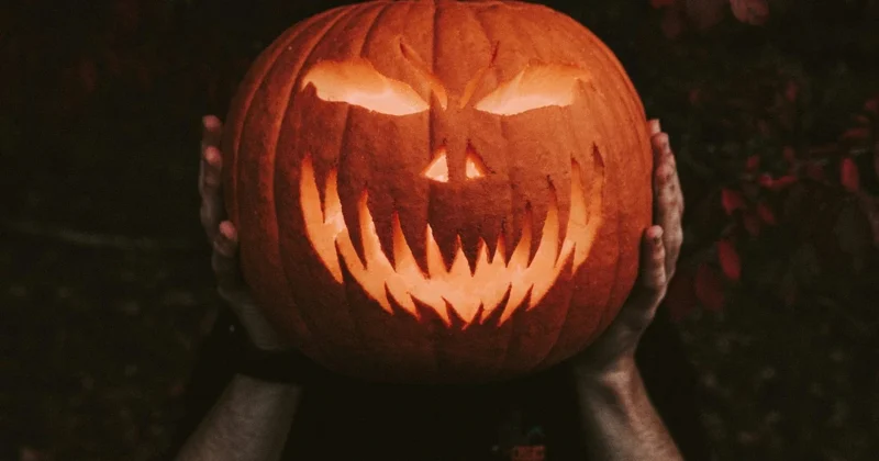 A person holds a large carved pumpkin in front of their face. The pumpkin has an angry expression with triangular eyes, a nose, and a jagged, toothy mouth. The pumpkin is illuminated from inside and the background is dark with some red leaves visible.