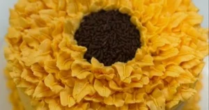 A round cake decorated to resemble a sunflower, perfect for CCE Nightlife or Sevenings in Essex County, with yellow frosting petals and chocolate sprinkles in the center to mimic sunflower seeds.