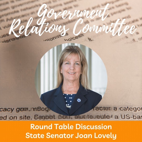 A woman in a blazer is pictured in a circular frame. Above her are the words "Government Relations Committee." Below her, it reads, "Round Table Discussion State Senator Joan Lovely." The background includes a close-up of text on a document.
