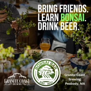 People work on bonsai plants at a table with drinks, including beer and water. The text says, "Bring friends. Learn bonsai. Drink beer." Part of Essex County’s CCE Nightlife at Granite Coast Brewing, Peabody, MA. Logos for brewery and Bonsai Bar shown.