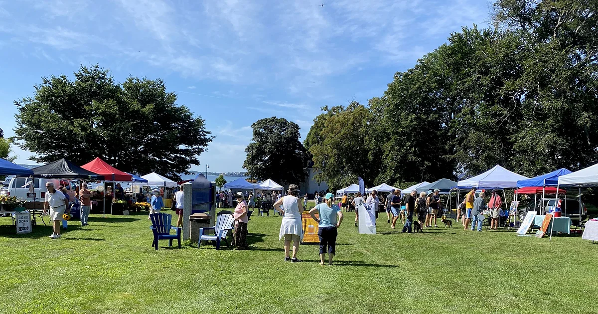 People walk and browse tents at an outdoor market on a grassy lawn. Various vendors have set up white and colored canopies. Trees and a blue sky are visible in the background. Some people are carrying bags or pushing carts.